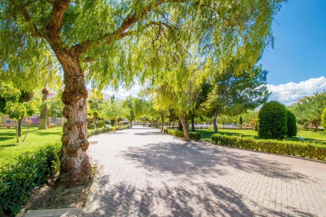 Apartamentos Villa Madrid Torrevieja Ngoại thất bức ảnh